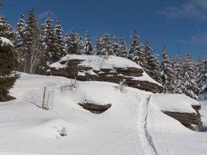 Winter im Harz